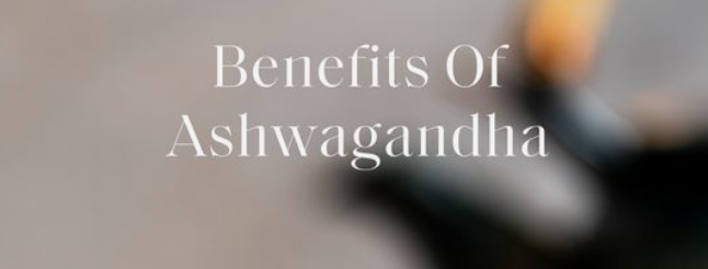 Exploring the Benefits of Ashwagandha